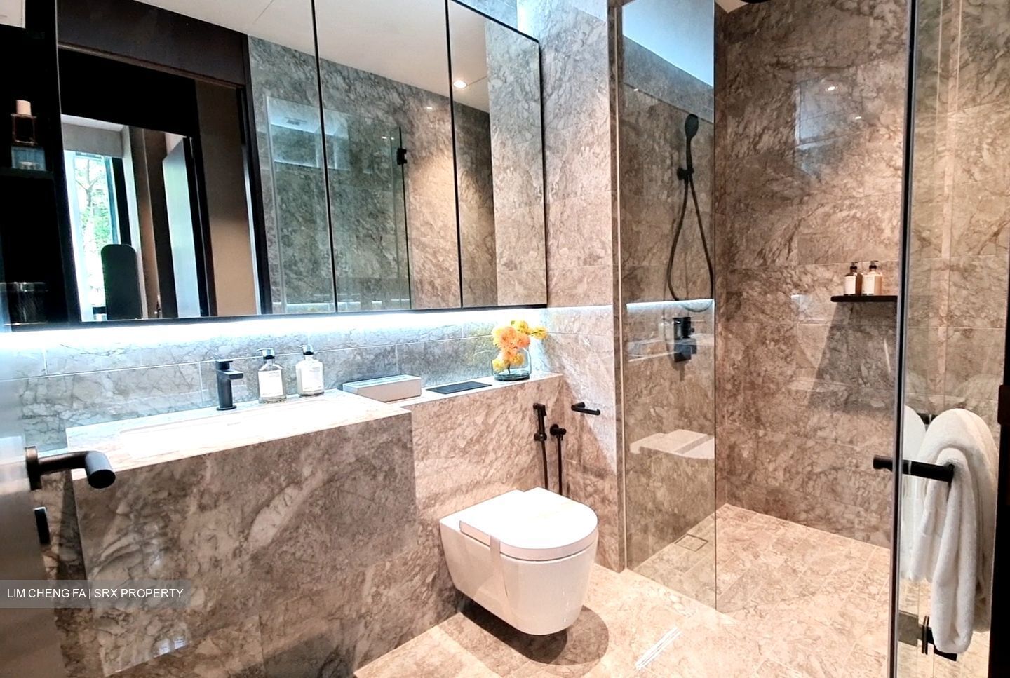 Jervois Privé (D10), Apartment #400473551